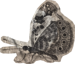 Weathered Historical Butterfly Cut-out