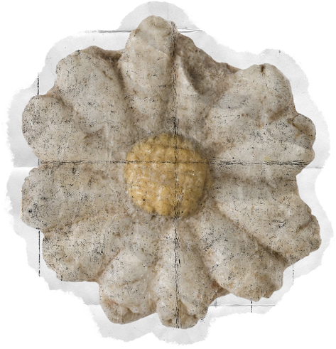 Weathered Historical Flower Sculpture Cut-out